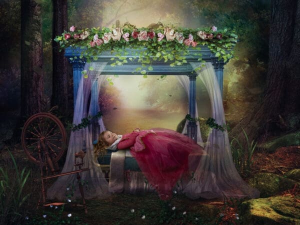 A painting of a woman sleeping under a canopy.